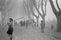 6.-REFUGIADOS-12-2