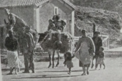 6.-REFUGIADOS-16