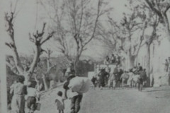 6.-REFUGIADOS-17