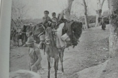 6.-REFUGIADOS-20