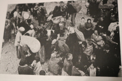 6.-REFUGIADOS-4