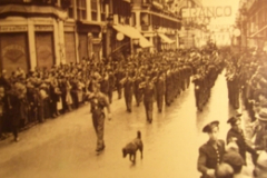 7.-DESFILE-FRANQUISTA-EN-LA-CIUDAD-DE-MALAGA